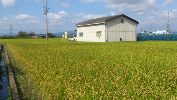 ・城陽整体農園で農業体験をしていただく。・新規参入時の各種手続きへの同行。