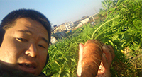 健康的な身体を手に入れるにはやっぱり食べ物ですね。農薬を使っていないため、失敗も多いですが皆様の健康のお手伝いができるように々研究していきます。城陽整体農園をよろしくお願いします。